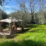 Olive Garden Loft - *