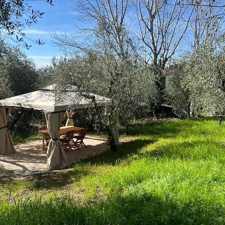 Olive Garden Loft - *